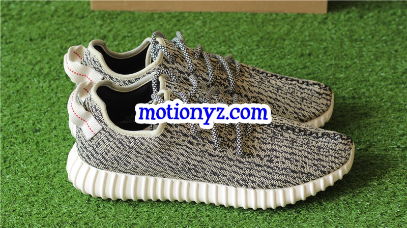 God Version Yeezy Boost 350 Turtle Dove